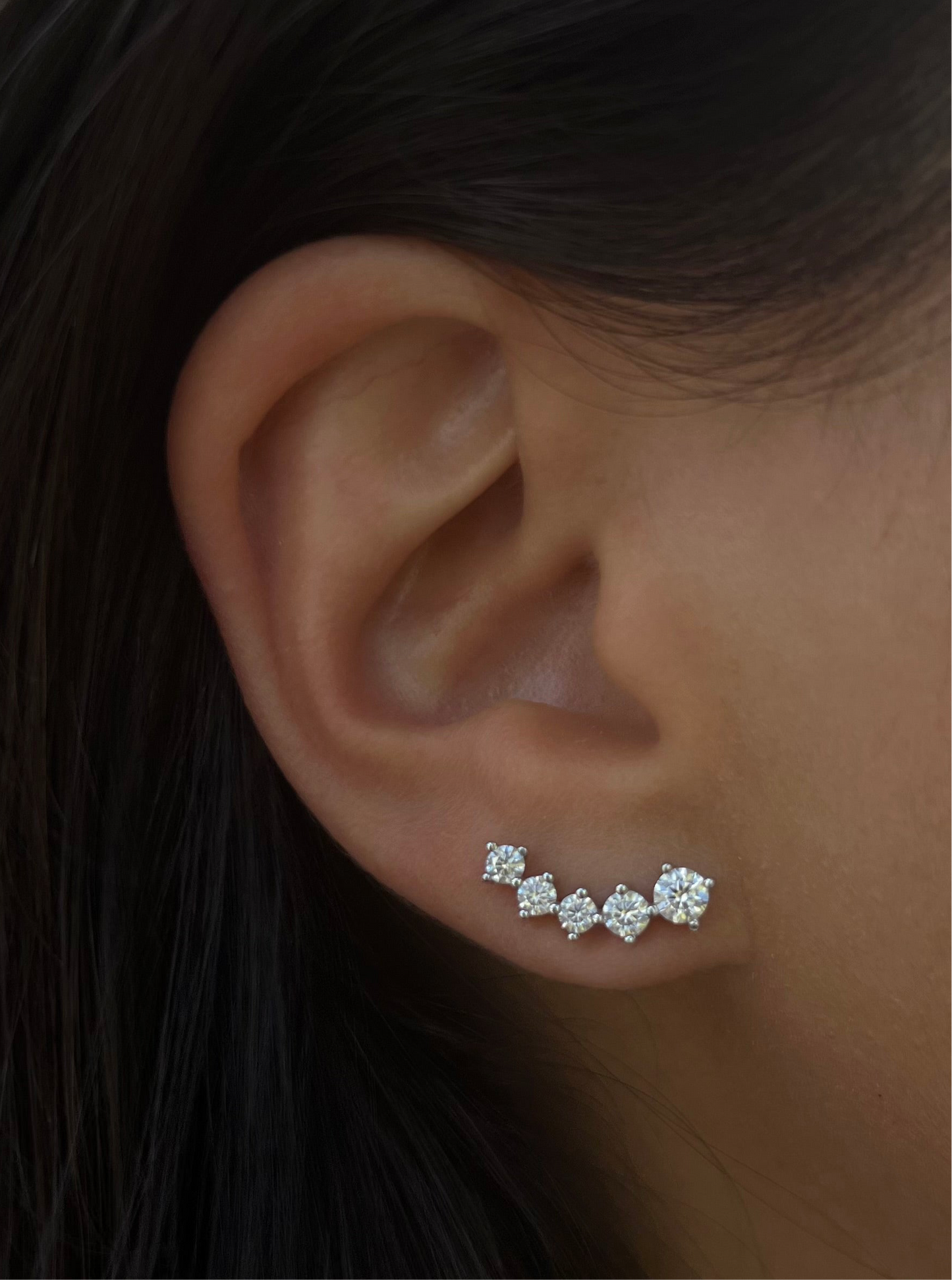 Cascade Climber Earrings