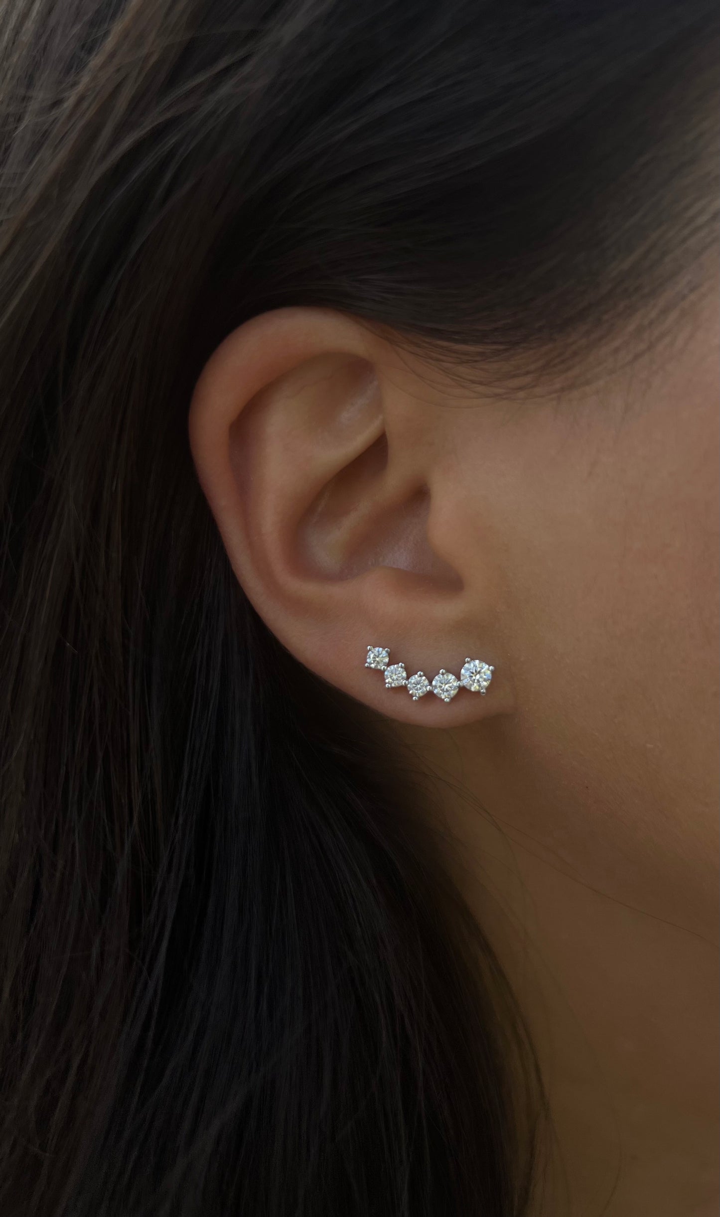 Cascade Climber Earrings