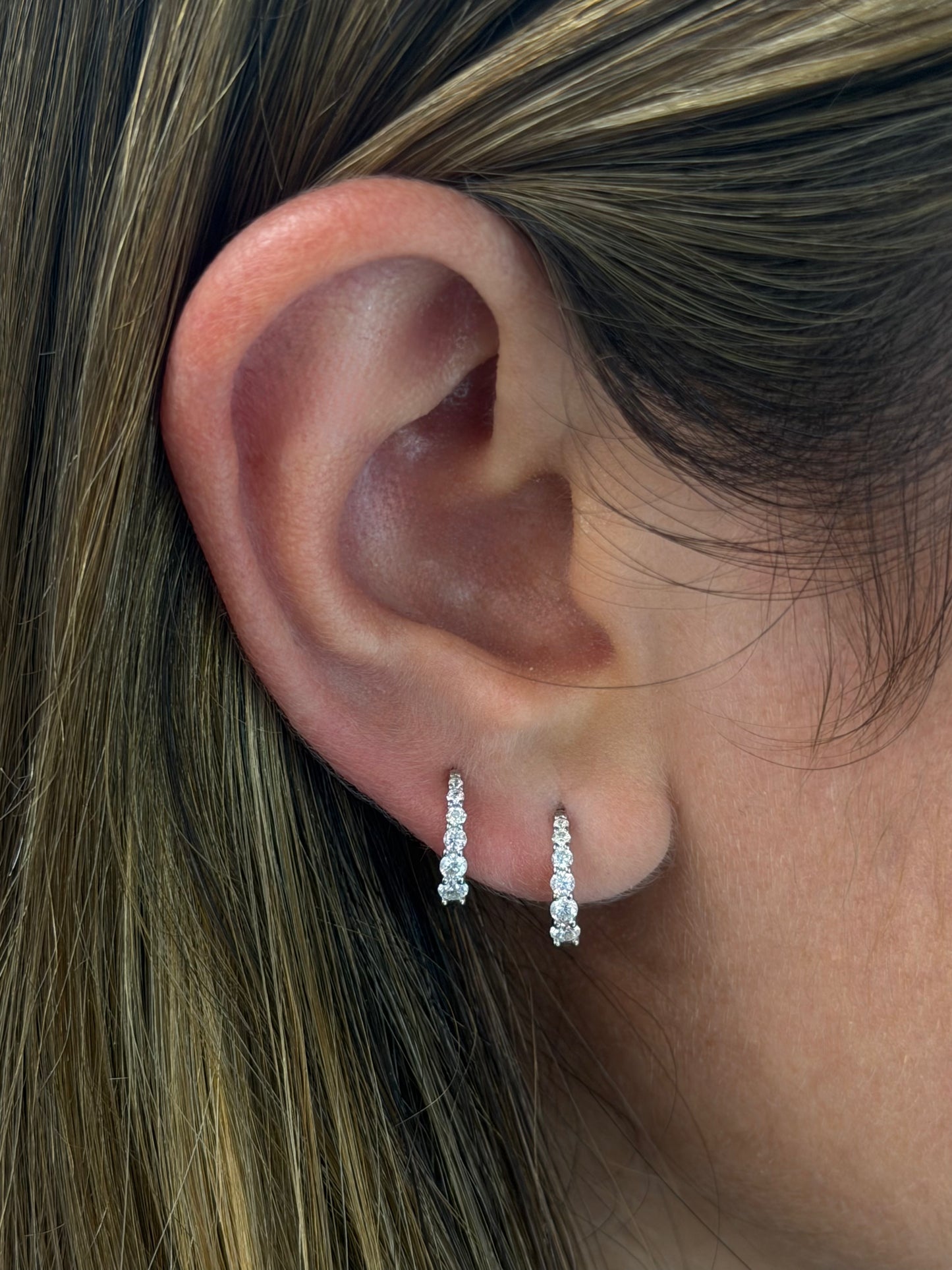 Tiny Graduated Hoop Earrings